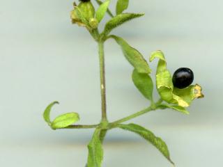 Img.VTax2026.ExN.Img4