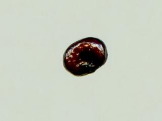 Img.VTax2026.ExN.Img9