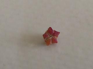Img.VTax2072.ExN.Img8