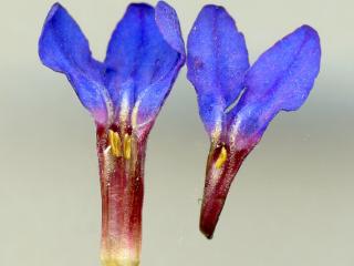 Img.VTax2323.ExN.Img19