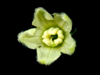 Img.VTax2553.ExN.Img9