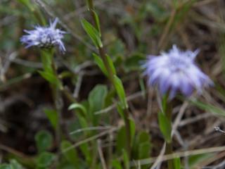 Img.VTax2779.ExN.Img4