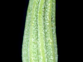 Img.VTax3380.ExN.Img7
