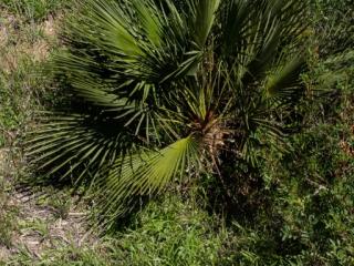 Img.VTax4315.ExN.Img20