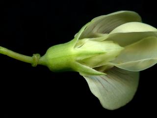 Img.VTax680.ExN.Img11