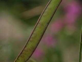 Img.VTax693.ExN.Img11
