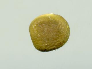 Img.VTax693.ExN.Img14