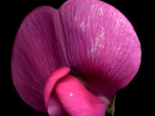 Img.VTax693.ExN.Img17