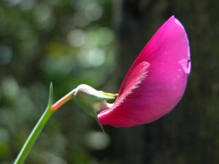 Img.VTax693.ExN.Img6