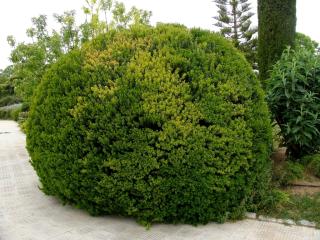 Img.VTax891.ExN.Img6