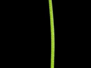 Img.VTax910.ExN.Img3
