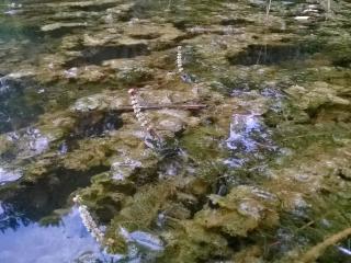 Img.VTax920.ExN.Img6