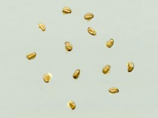 Img.VTax963.ExN.Img8