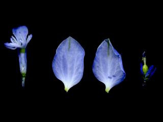 Img.VTax1461.ExN.Img12