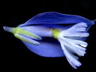Img.VTax1461.ExN.Img4