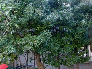 Img.VTax1494.ExN.Img11