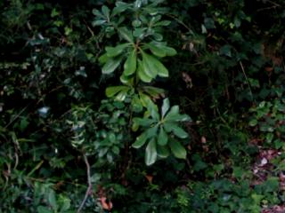 Img.VTax1494.ExN.Img9