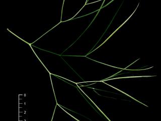 Img.VTax1602.ExN.Img11