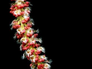 Img.VTax1669.ExN.Img9