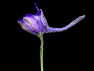 Img.VTax172.ExN.Img7