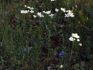 Img.VTax197.ExN.Img3