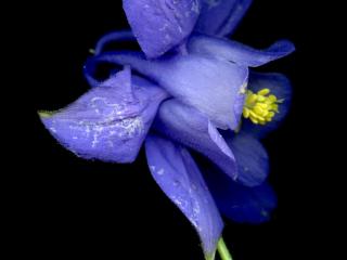 Img.VTax213.ExN.Img12