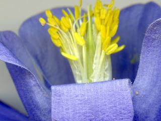 Img.VTax213.ExN.Img3