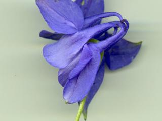 Img.VTax213.ExN.Img5
