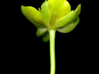 Img.VTax221.ExN.Img11