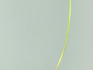Img.VTax221.ExN.Img9