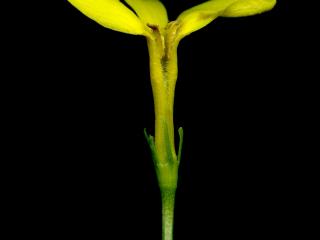 Img.VTax2235.ExN.Img9