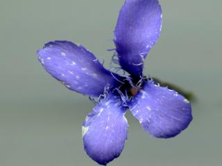 Img.VTax2282.ExN.Img13