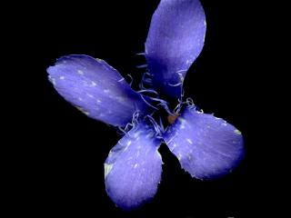 Img.VTax2282.ExN.Img18