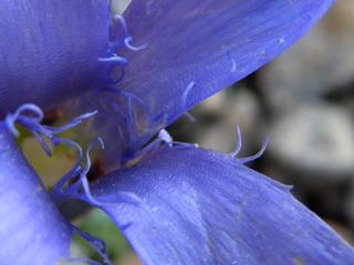 Img.VTax2282.ExN.Img3