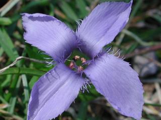 Img.VTax2282.ExN.Img9