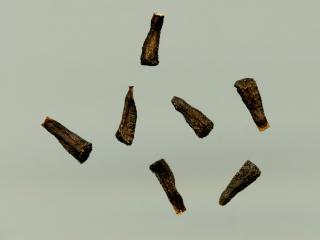 Img.VTax2292.ExN.Img7