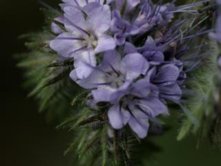 Img.VTax2318.ExN.Img4