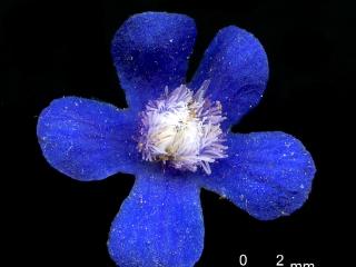 Img.VTax2353.ExN.Img6
