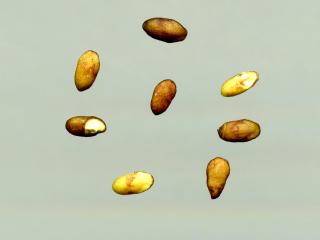 Img.VTax2518.ExN.Img5