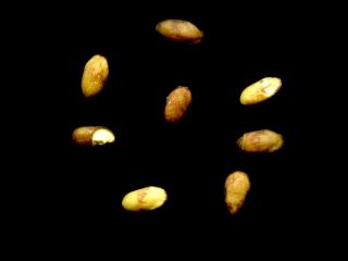 Img.VTax2518.ExN.Img8