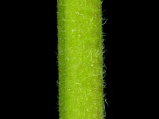 Img.VTax2561.ExN.Img11