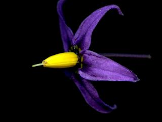 Img.VTax2561.ExN.Img19
