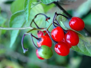 Img.VTax2561.ExN.Img9