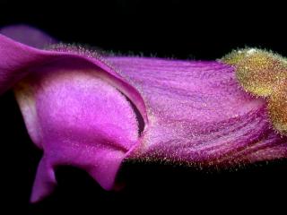 Img.VTax2603.ExN.Img9