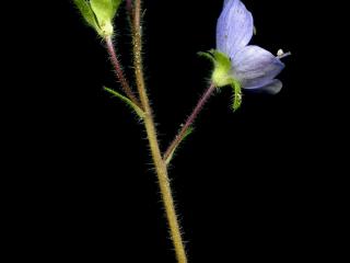 Img.VTax2655.ExN.Img14