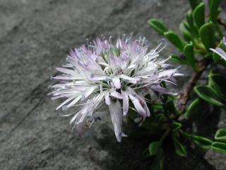 Img.VTax2776.ExN.Img1
