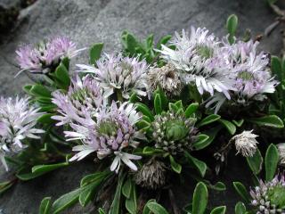 Img.VTax2776.ExN.Img2