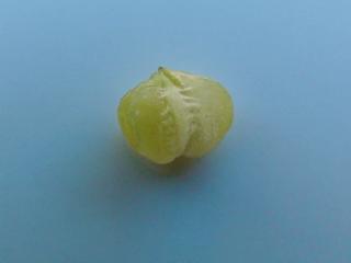 Img.VTax2882.ExN.Img8