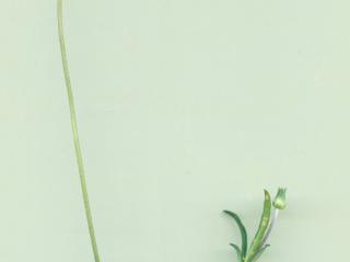 Img.VTax2921.ExN.Img7