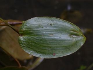 Img.VTax3485.ExN.Img3